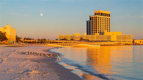 seo biloxi ms|SEO Biloxi MS .